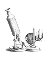 Image from Robert Hooke's Micrographia